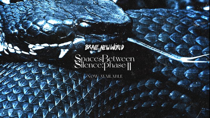 Brave New World's Spaces Between Silence: Phase II EP cover art.